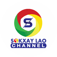 Demo Logo